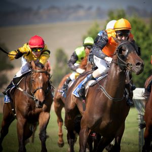 Kentucky Derby Lexington Horse Farm Experience